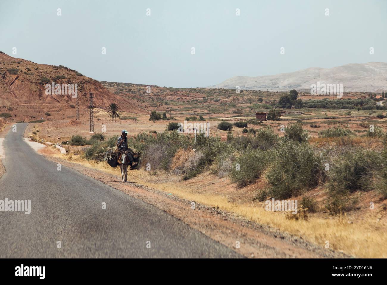 Ein Alleinreisender zu Pferd fährt über eine kurvenreiche Feldstraße in Marokkos trockenen, sonnendurchfluteten Badlands. Umliegende Kaparrale und karge Vegetation hochgradig Stockfoto