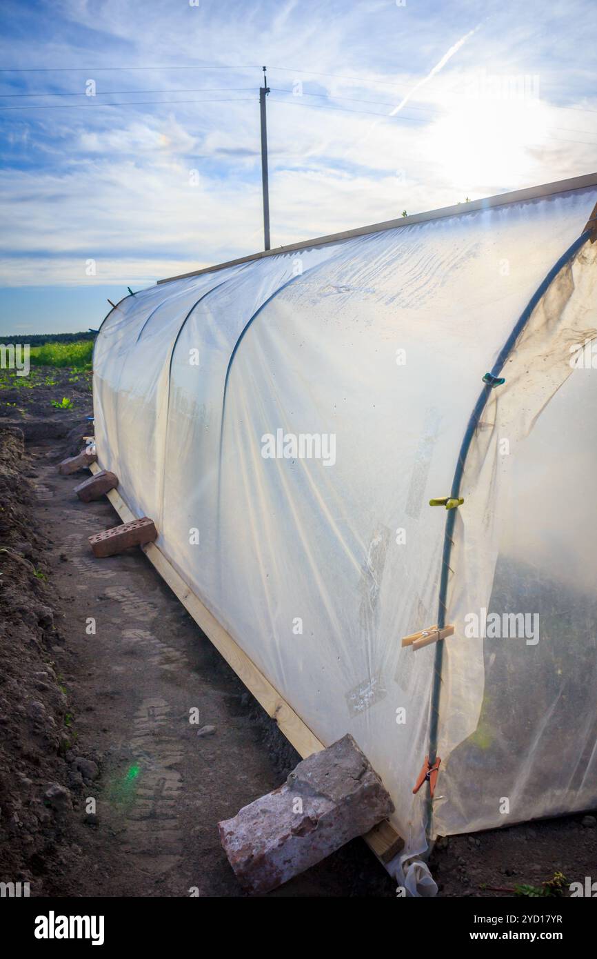 Gewächshaus auf der Datscha. Gewächshaus für Gemüse. Haushalt . Gemüseanbau. Stockfoto