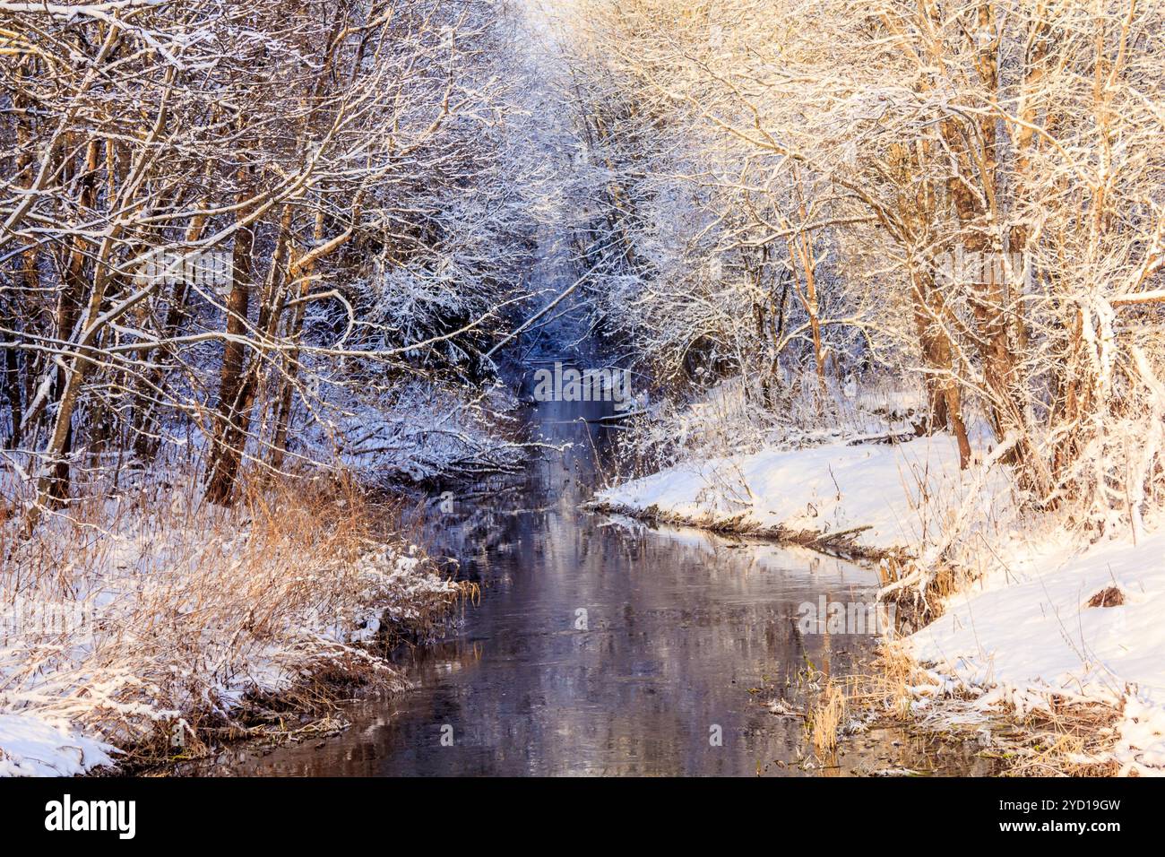 Winterpark. Snowpark. Picture Winter Park. Winterlandschaft. Winter Natur Stockfoto