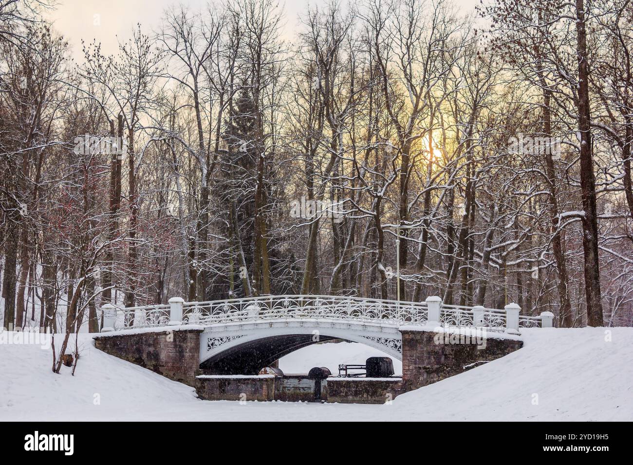 Winterpark. Snowpark. Picture Winter Park. Winterlandschaft. Winter Natur Stockfoto