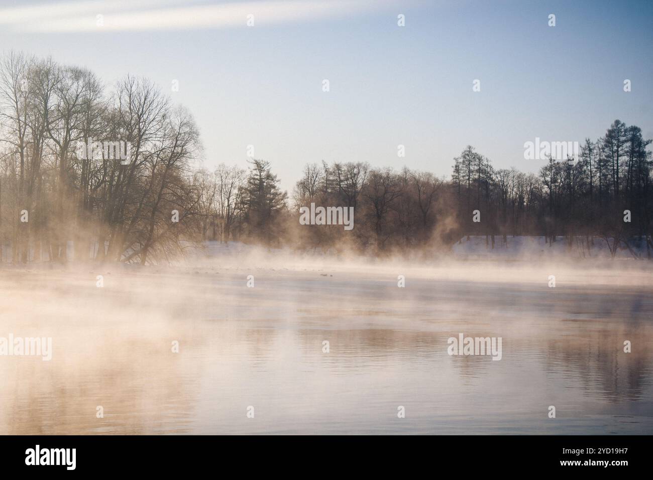 Winterpark. Snowpark. Picture Winter Park. Winterlandschaft. Winter Natur Stockfoto