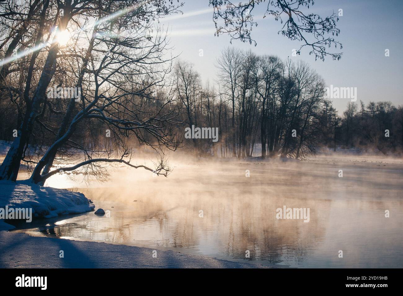 Winterpark. Snowpark. Picture Winter Park. Winterlandschaft. Winter Natur Stockfoto