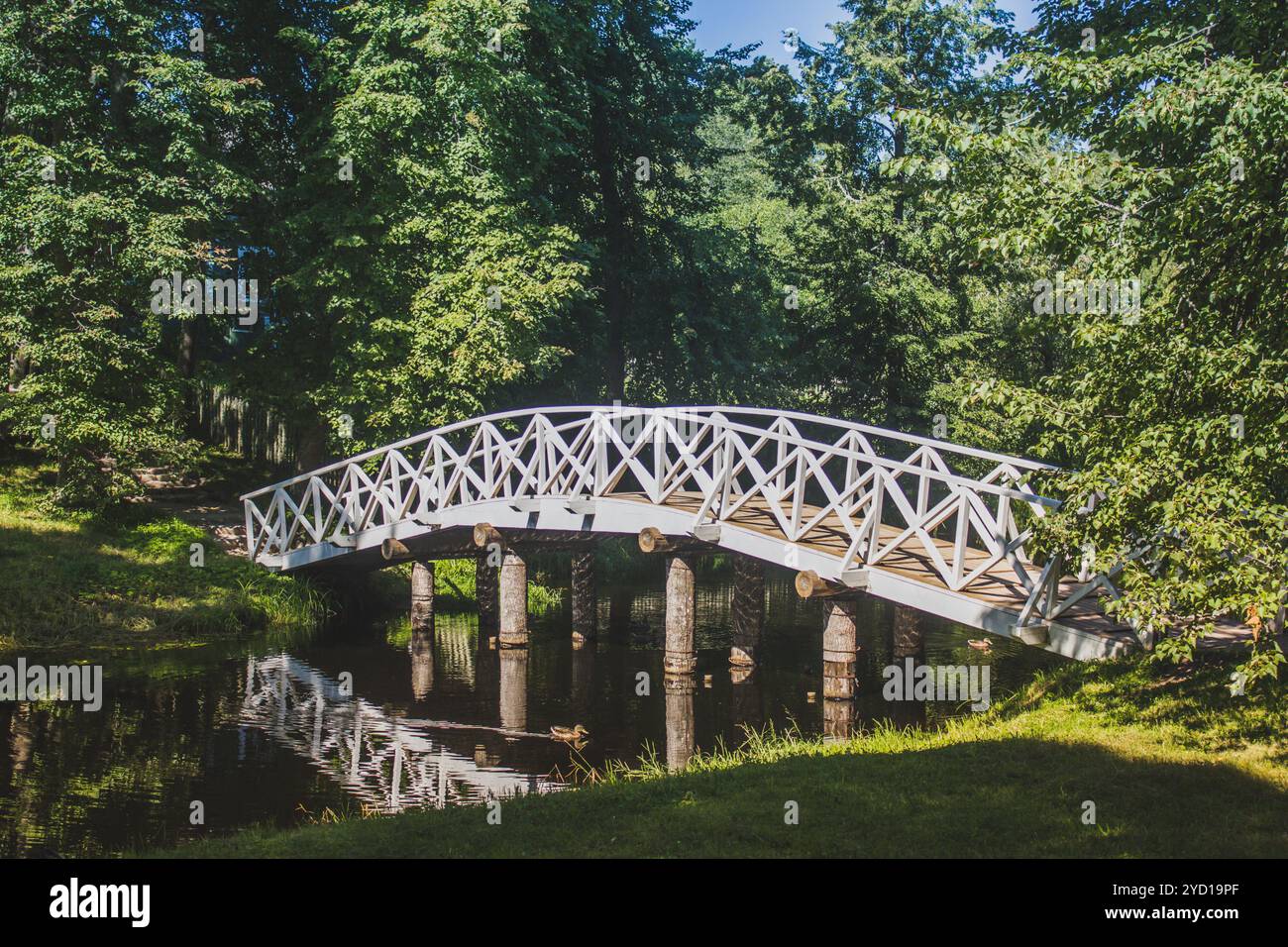 Holzbrücke über den Fluss. Alte Brücke. Stockfoto