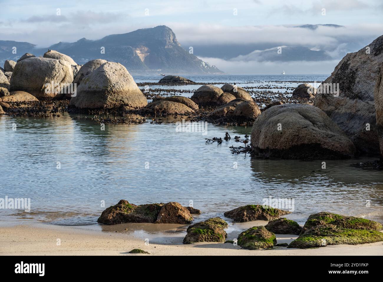 Wasser und Strand mit Pinguinen in False Bay, Südafrika Stockfoto