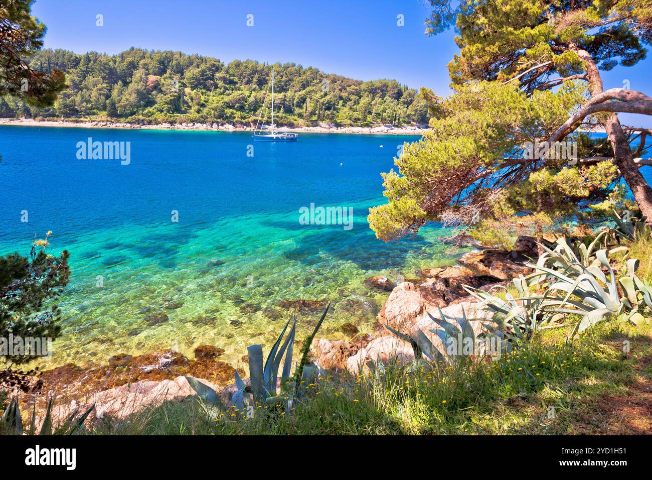 Idyllische Türkis Stein Strand in Cavtat Stockfoto