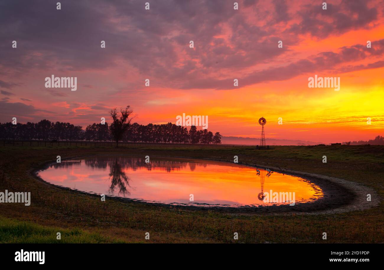 Windmühle an einem Teich in ländlichem Feld mit leuchtendem roten, orangen und gelben Sonnenaufgang und einem leichten, tief liegenden Nebel. Ländliches Australien Stockfoto