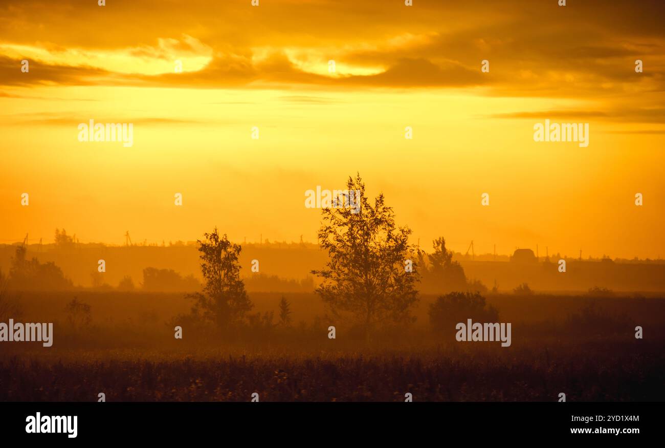 Morgensommerdämmerung auf dem Feld. Natur. Sommerlandschaft. Die Sonne wacht auf. Der Himmel und die Sonne. Goldener Himmel. Die Lichter einer Sonne. Goldenes d Stockfoto