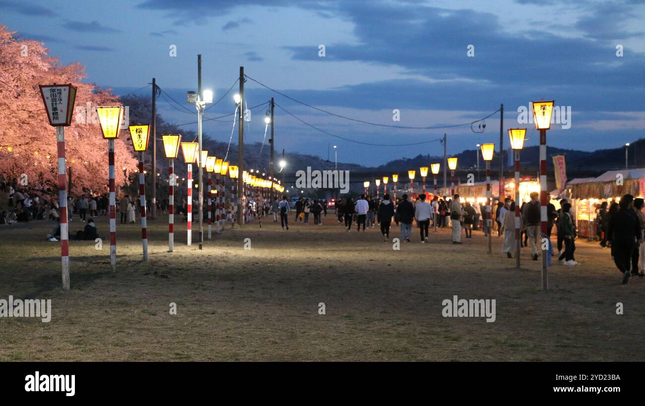 Hanami-Blumenfestgelände in Ogawara am Abend. Stockfoto