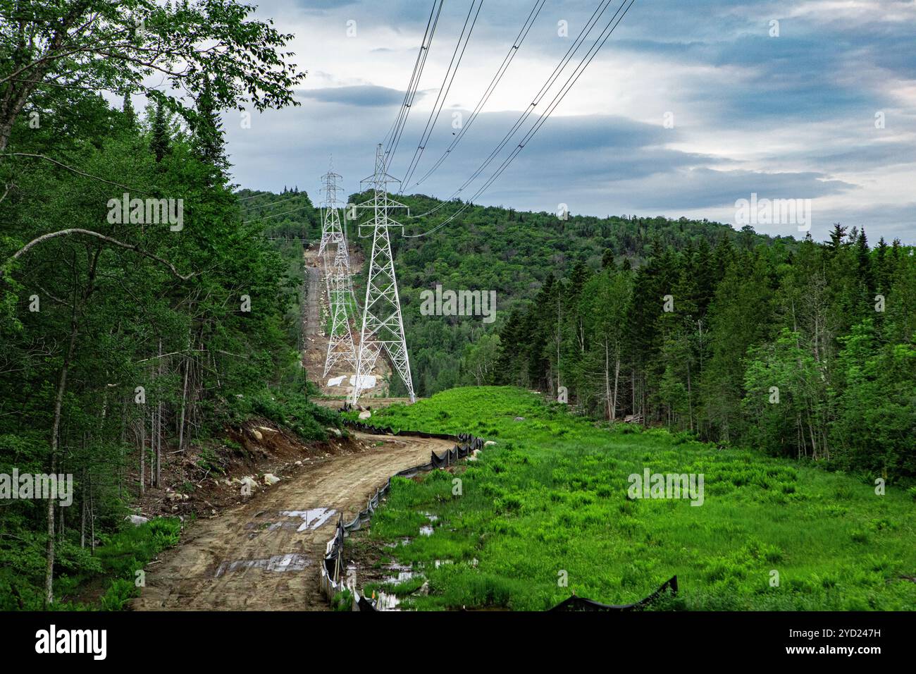 Freileitungen sind in einer ländlichen, üppig grünen Landschaft mit Bäumen, Nebeneinander von Industriestrukturen und Natur mit Kopierraum zu sehen. Stockfoto