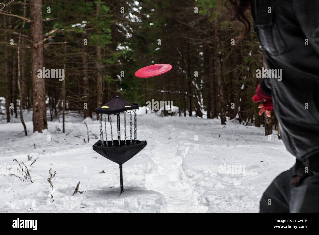 Mann spielt Frisbee Golf im Winter Stockfoto