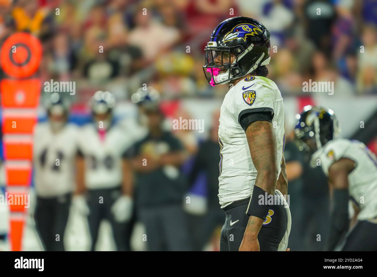 Tampa Bay, Florida, USA, 21. Oktober 2024, Baltimore Ravens Quarterback Lamar Jackson #8 im Raymond James Stadium. (Foto: Marty Jean-Louis) Stockfoto