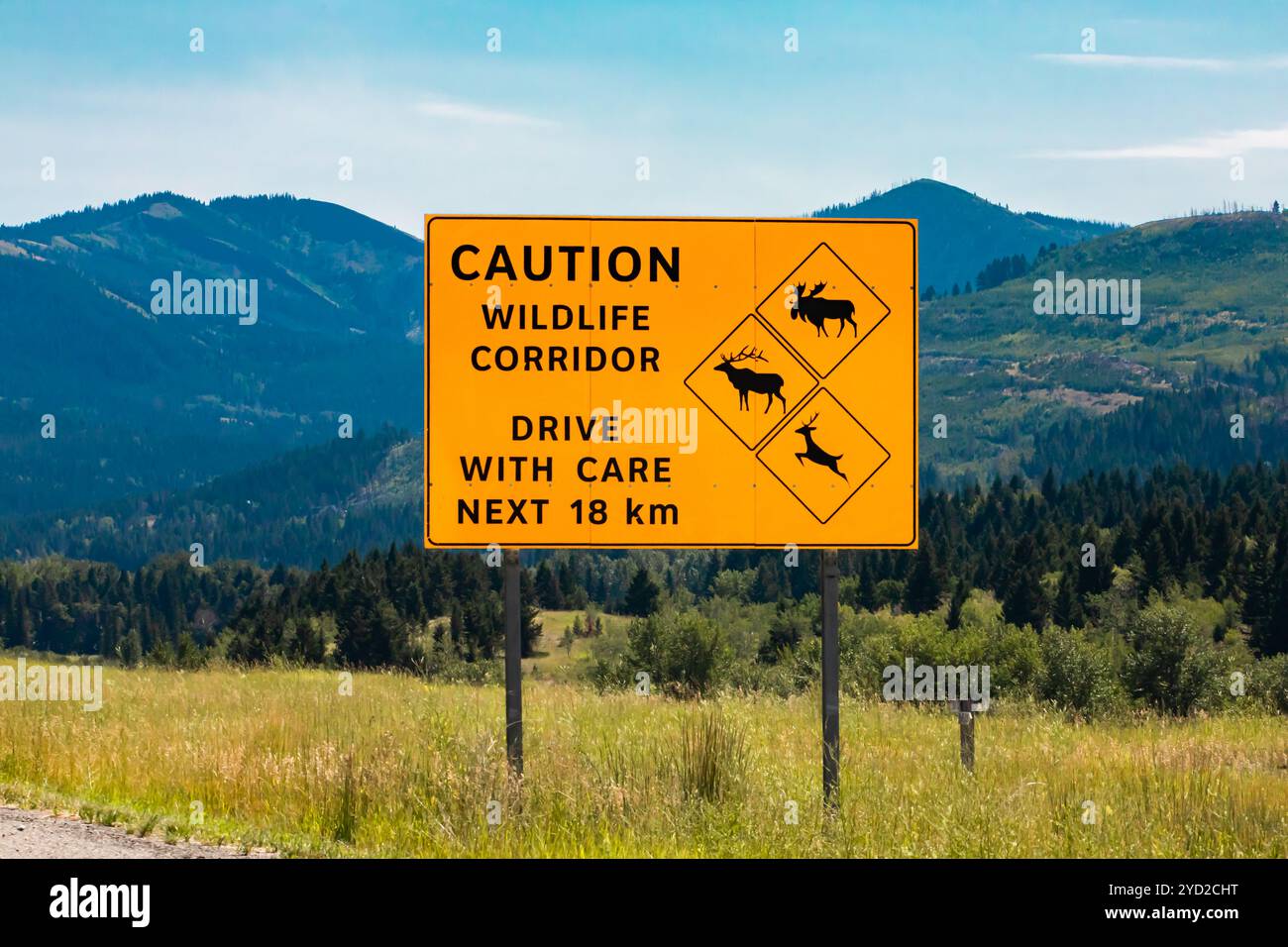 Große gelbe Warnung Schild, Vorsicht wildlife corridor Laufwerk mit Vorsicht 18 km mit Hirsche und Elche Elche und Kreuzung Symbole, Kanadische am Straßenrand Stockfoto