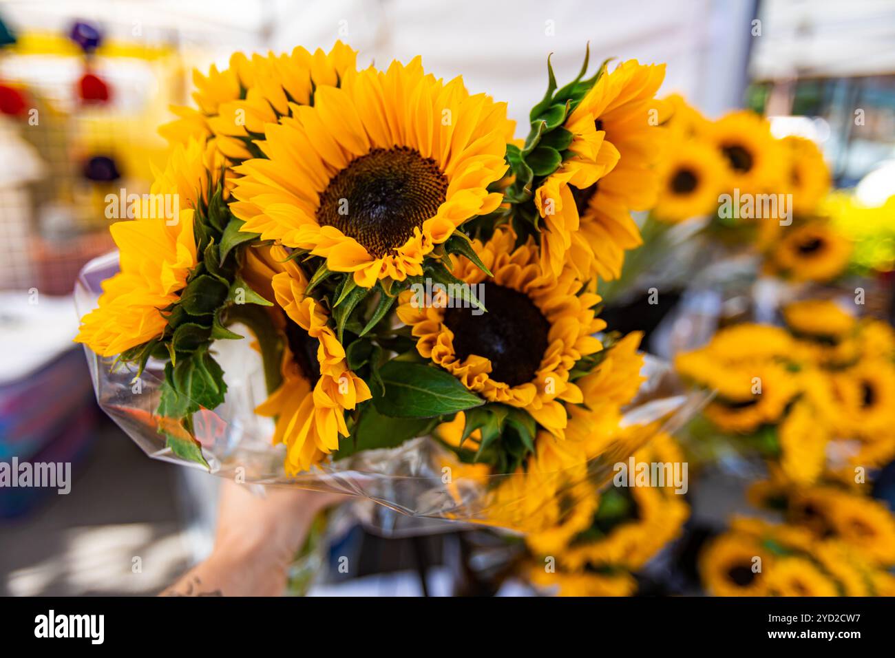 Lebendige Blumen auf dem Bauernmarkt im Freien Stockfoto