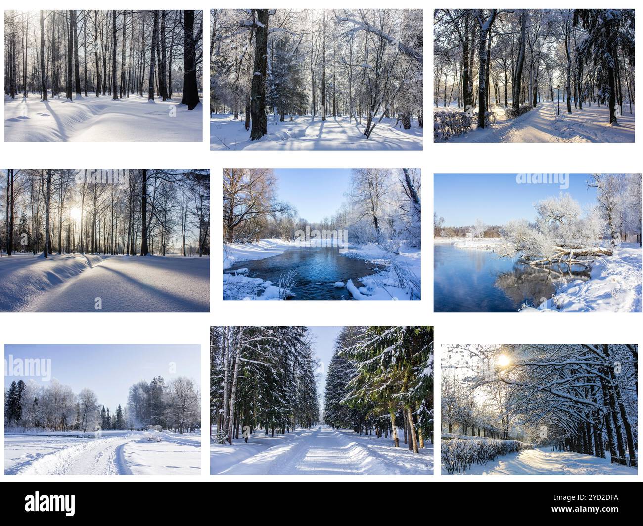 Winter Solar Park . Gassen des Parks. Natur. Winter Natur. Winterbilder. Schnee. Querformat. Collage. Stockfoto