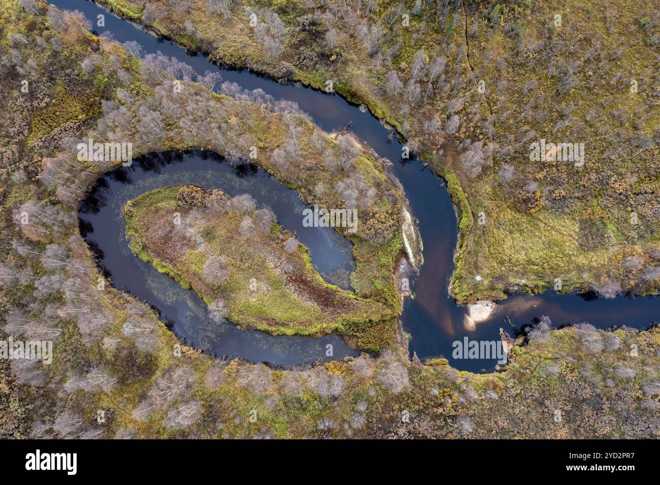 Flussbiegung, Mäander, Drohnenaufnahme, Luftaufnahme, Feuchtgebiet, Moor im Herbst, Lappland, Finnland, Europa Stockfoto