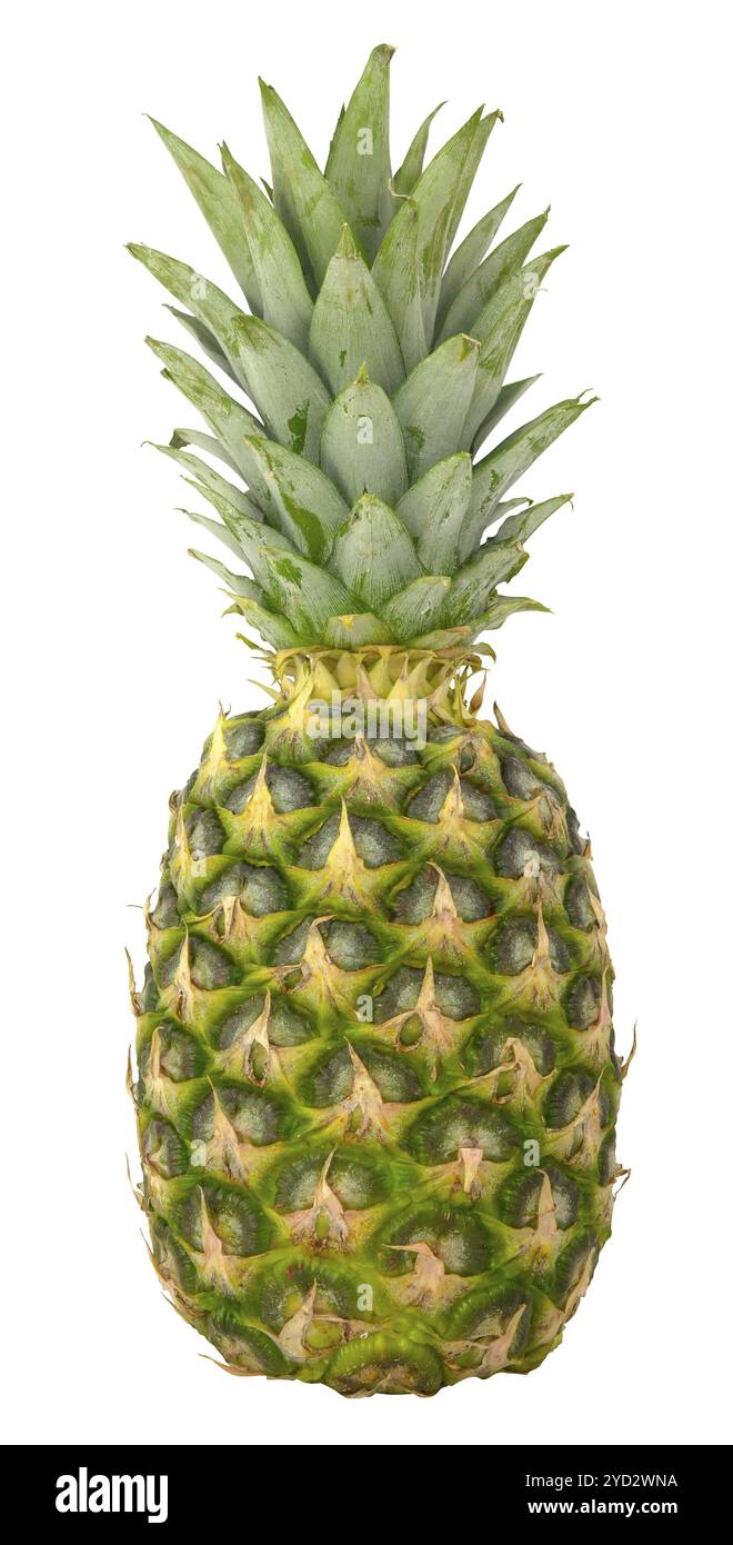 Isolierte frische Bio-Ananas auf WEISSEM Hintergrund Stockfoto