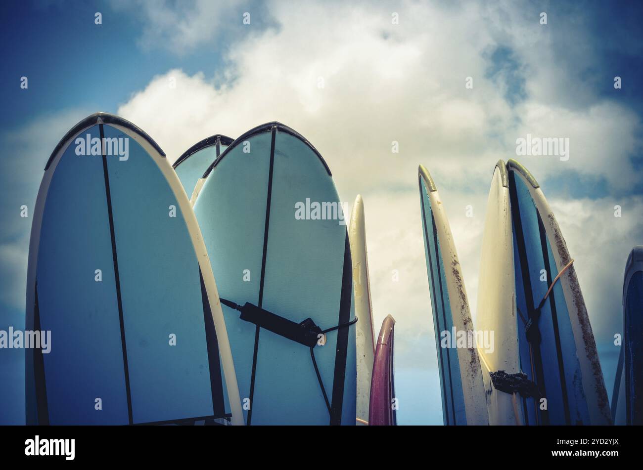 Foto Im Retro-Stil Von Vintage Hawaiian Surf Boards Stockfoto