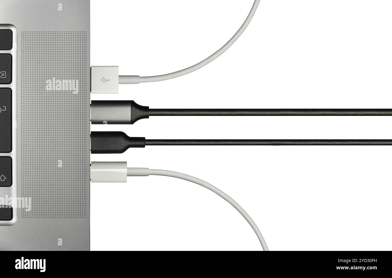 Verschiedene Kabel, die an EINEN Laptop angeschlossen sind, für verschiedene Peripheriegeräte, isoliert auf WEISSEM Hintergrund mit Kopierplatz Stockfoto