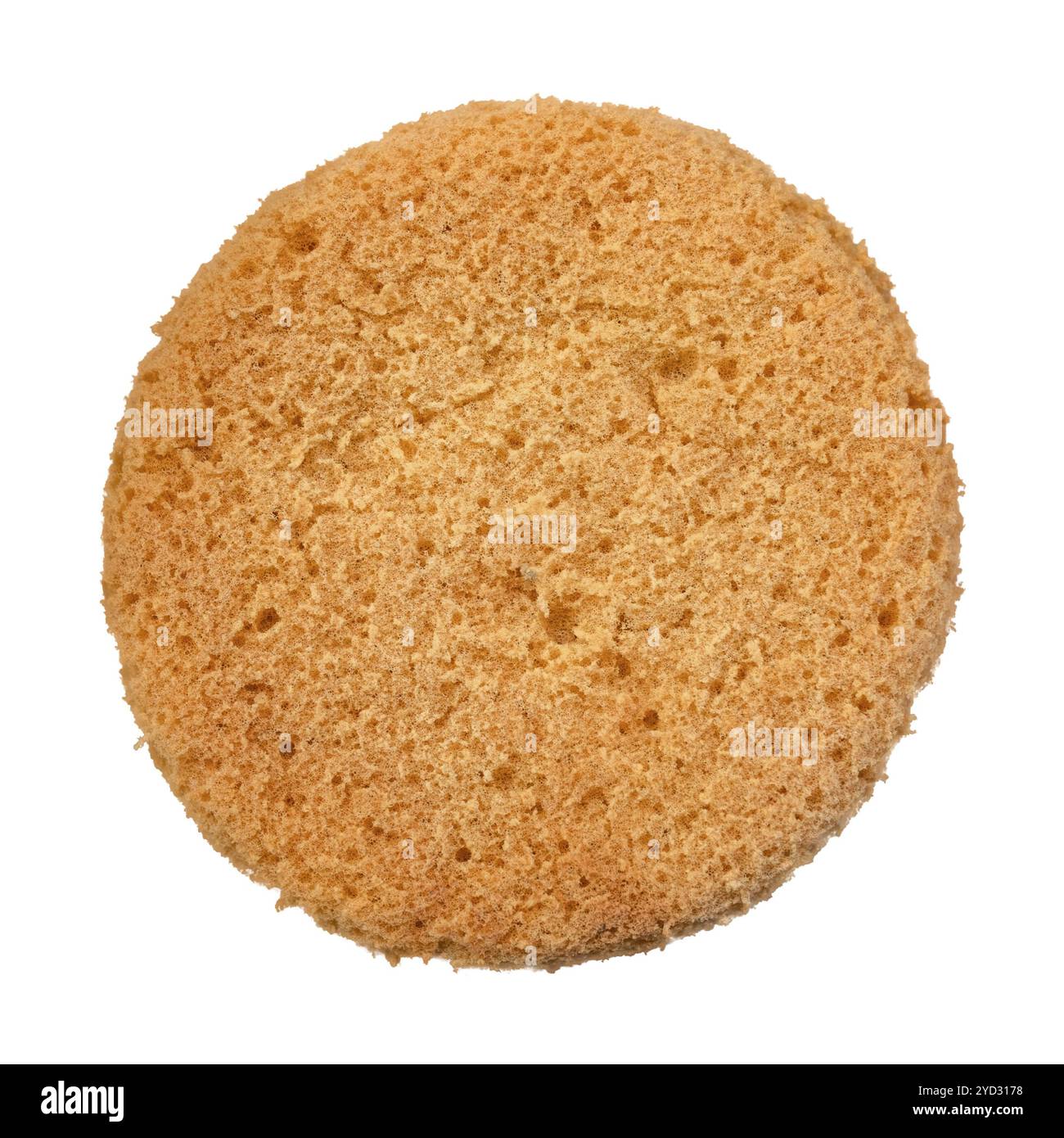 Ein isolierter Keramikschwamm auf weißem Hintergrund Stockfoto