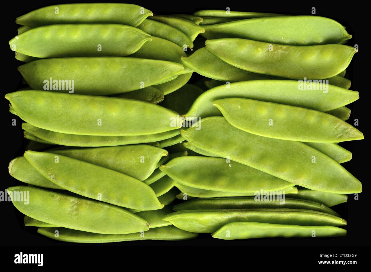 Essen-Textur der Bio frische Zuckerschoten mit schwarzem Hintergrund Stockfoto
