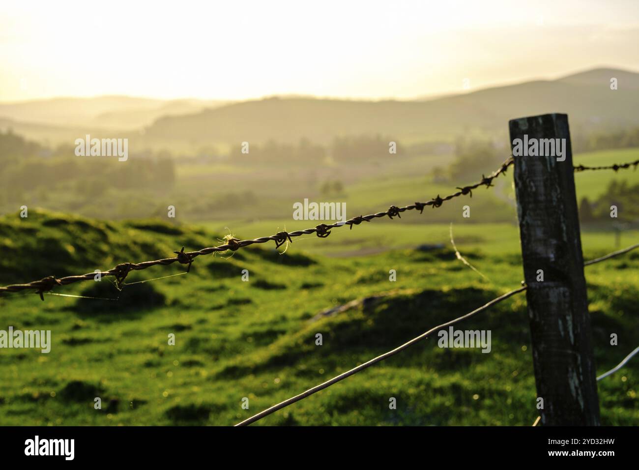 Wunderschöne Rolling Landscape Of The Scottish Borders Bei Sonnenuntergang, Mit Fokus Auf Einen Alten Stacheldrahtzaun Im Vordergrund Stockfoto