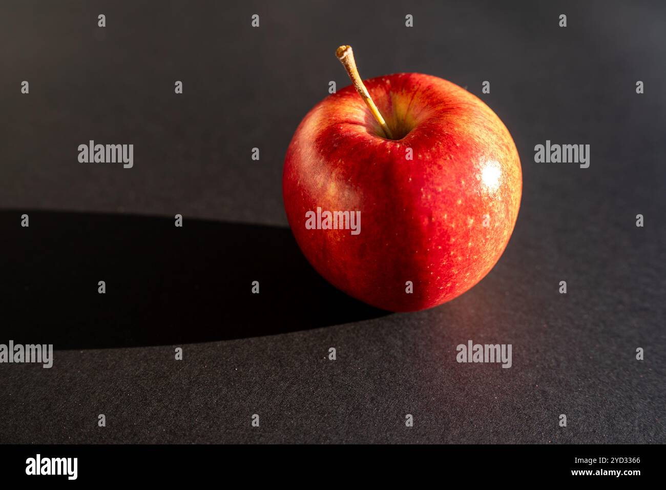 Roter Apfel, der einen Schatten vor schwarzer Umrandung bildet Stockfoto