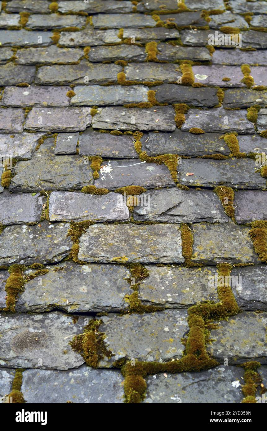 Einige alte Schiefer Dachziegel mit Moos (flachen DOF) Stockfoto
