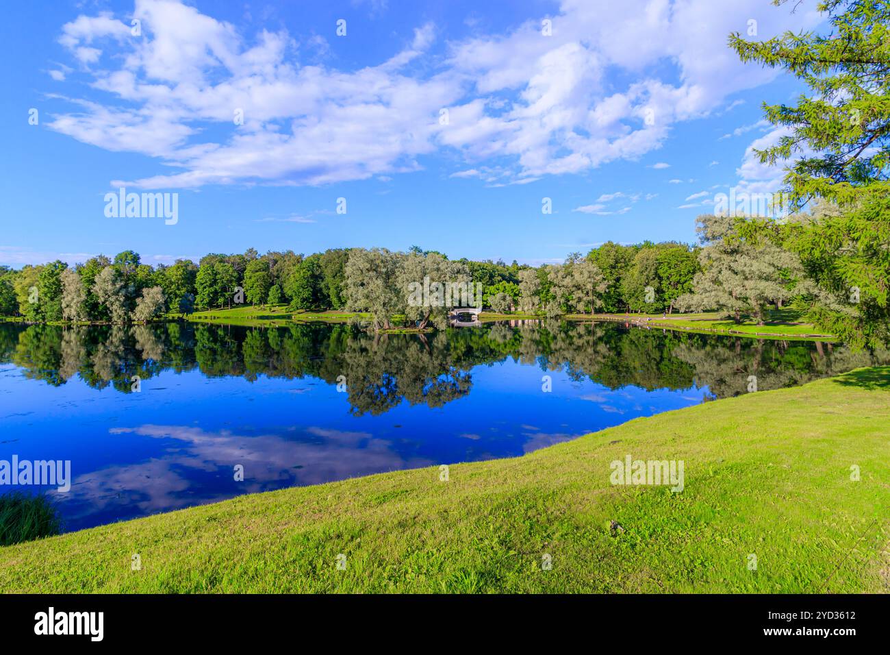 Sommerabend im Park mit See. Sommerlandschaft. Natur Russlands. Gepflegter Park. Abendliche Glätte. Der Reflektor Stockfoto
