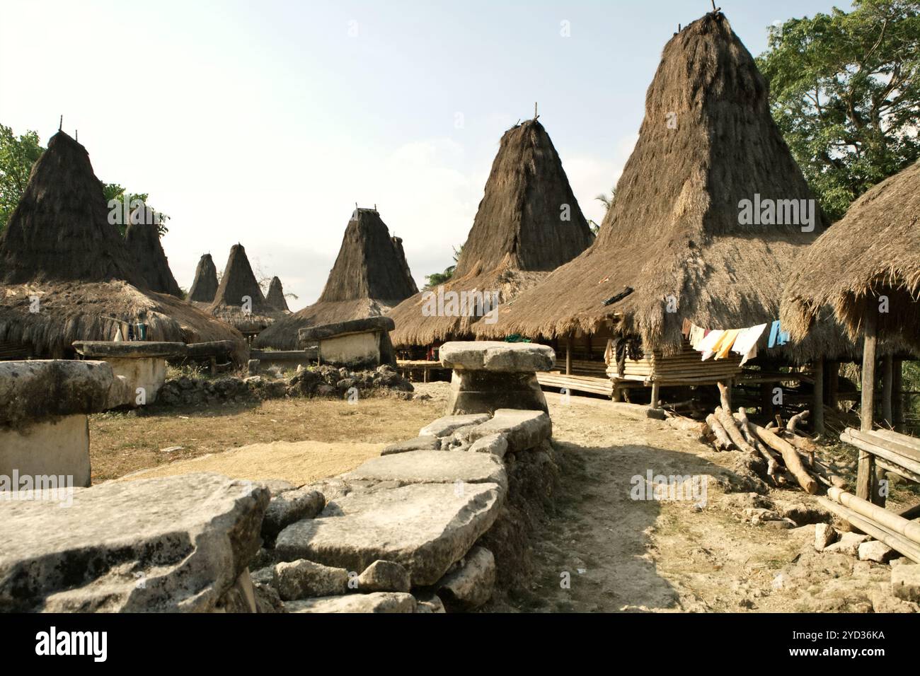 Traditionelle Siedlung Praijing in Tebara, Waikabubak, West Sumba, Nusa Tenggara, Indonesien. Stockfoto