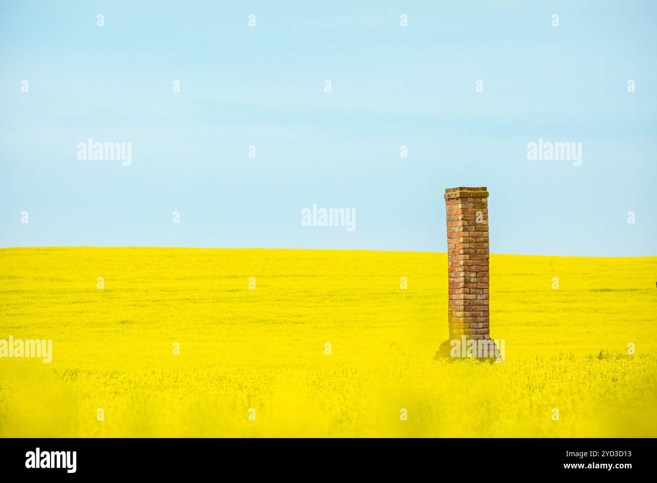Alte Ziegelsteinruine erhebt sich aus Rapsfeldern Stockfoto