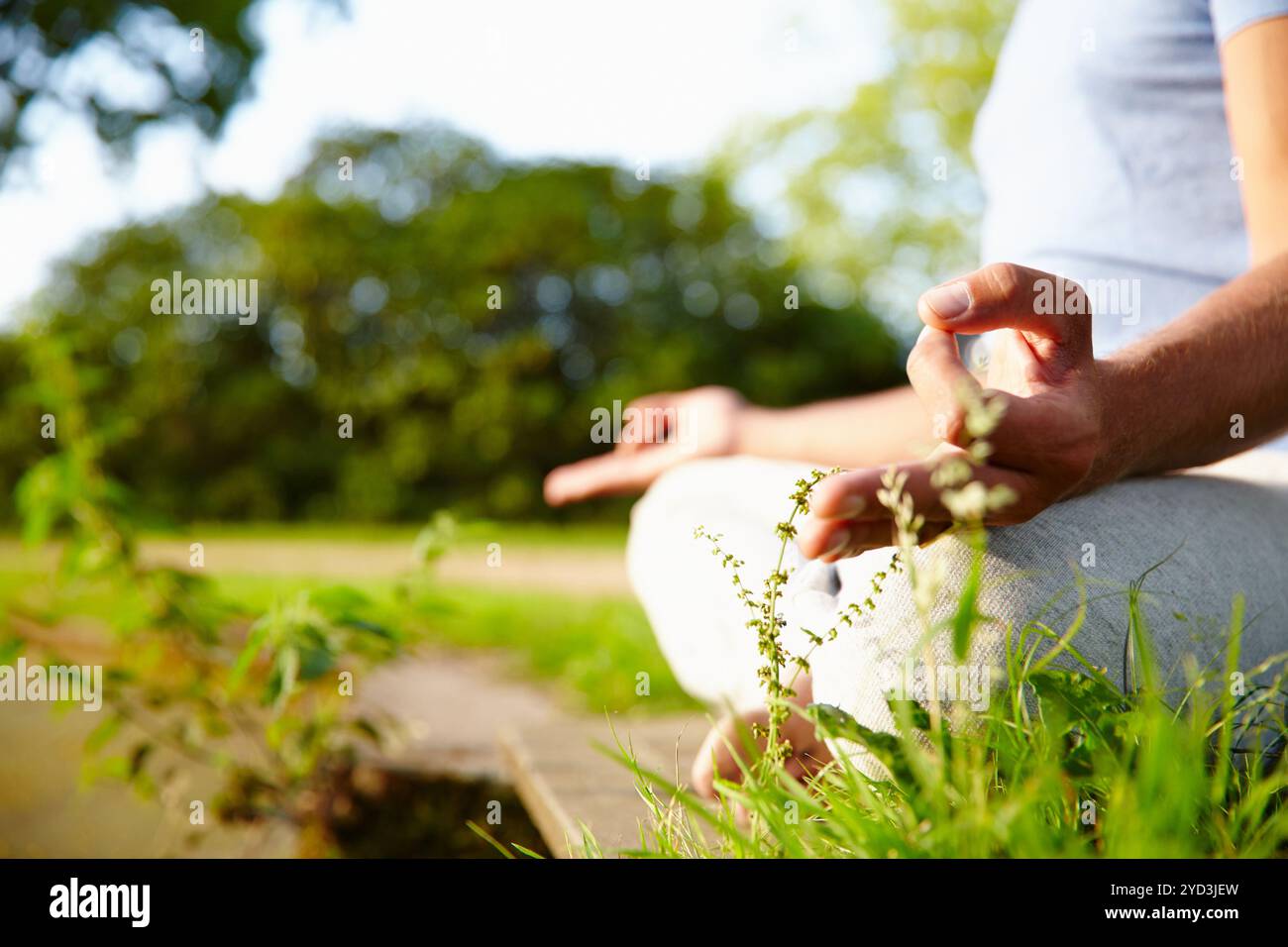 Mensch, Natur und Hände für Lotus-Yoga-Position, Meditation und Achtsamkeit für Heilchakra. Männliche Person, Landschaft und ganzheitliche Pose für spirituelles Stockfoto
