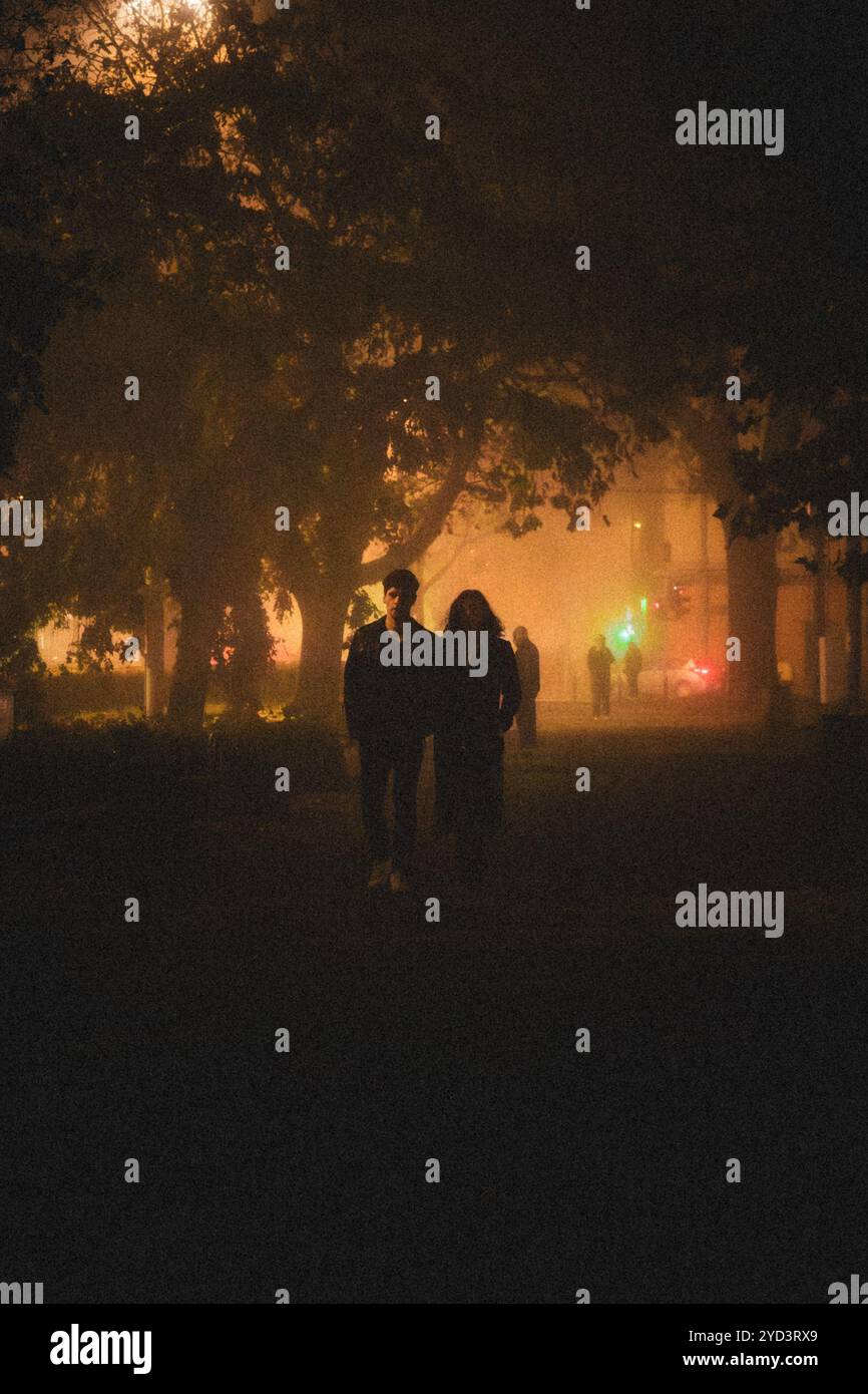 Ein Paar im Nebelpark Stockfoto