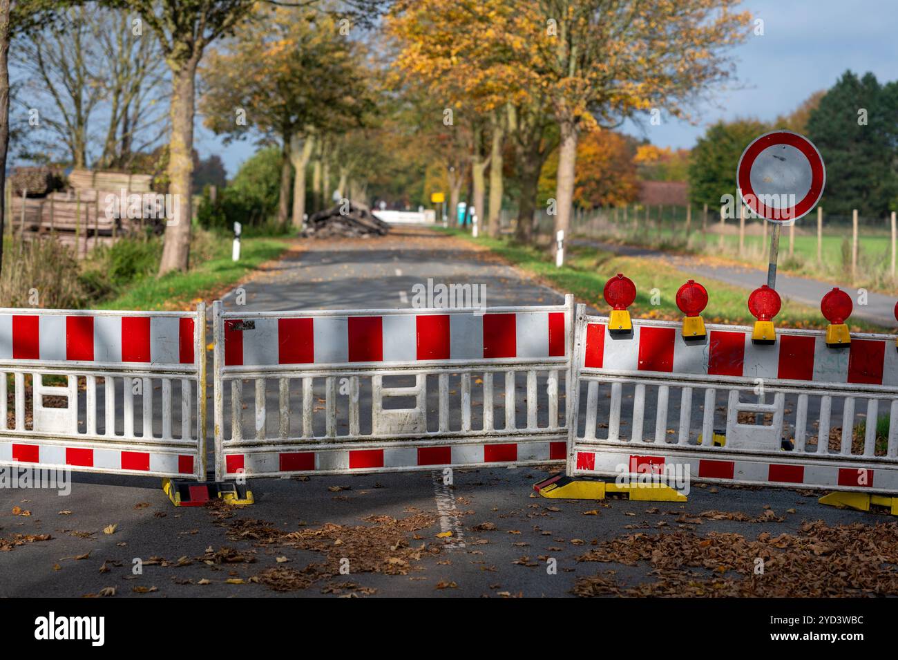 Asphalt, Baggerlader, Gebäude, Gebäude - Tätigkeit, Bau, Baustelle, Steuerung, Landstraße, Gefahr, Fahren, Fahrerbewusstsein, Technik, Stockfoto