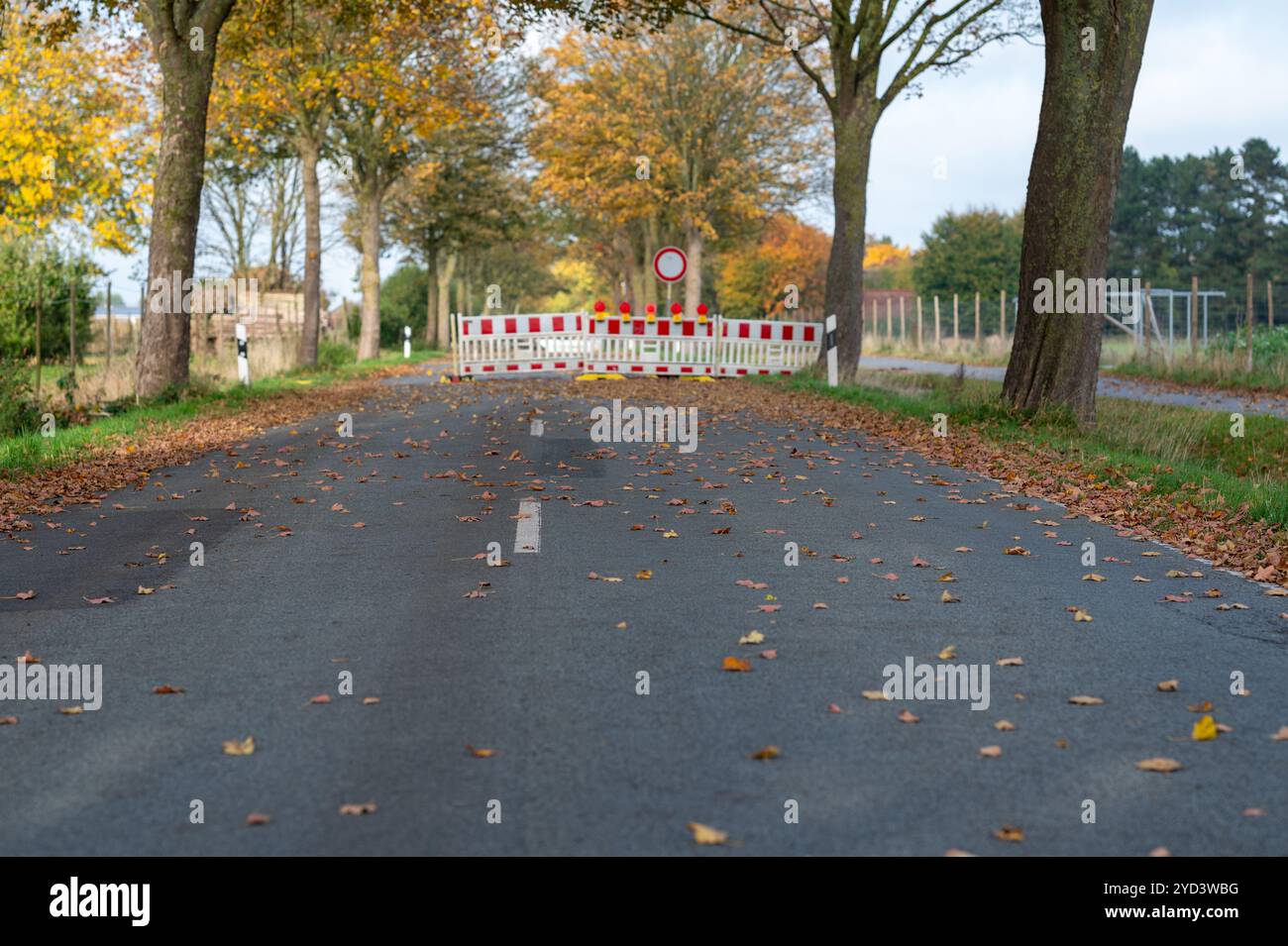 Asphalt, Baggerlader, Gebäude, Gebäude - Tätigkeit, Bau, Baustelle, Steuerung, Landstraße, Gefahr, Fahren, Fahrerbewusstsein, Technik, Stockfoto