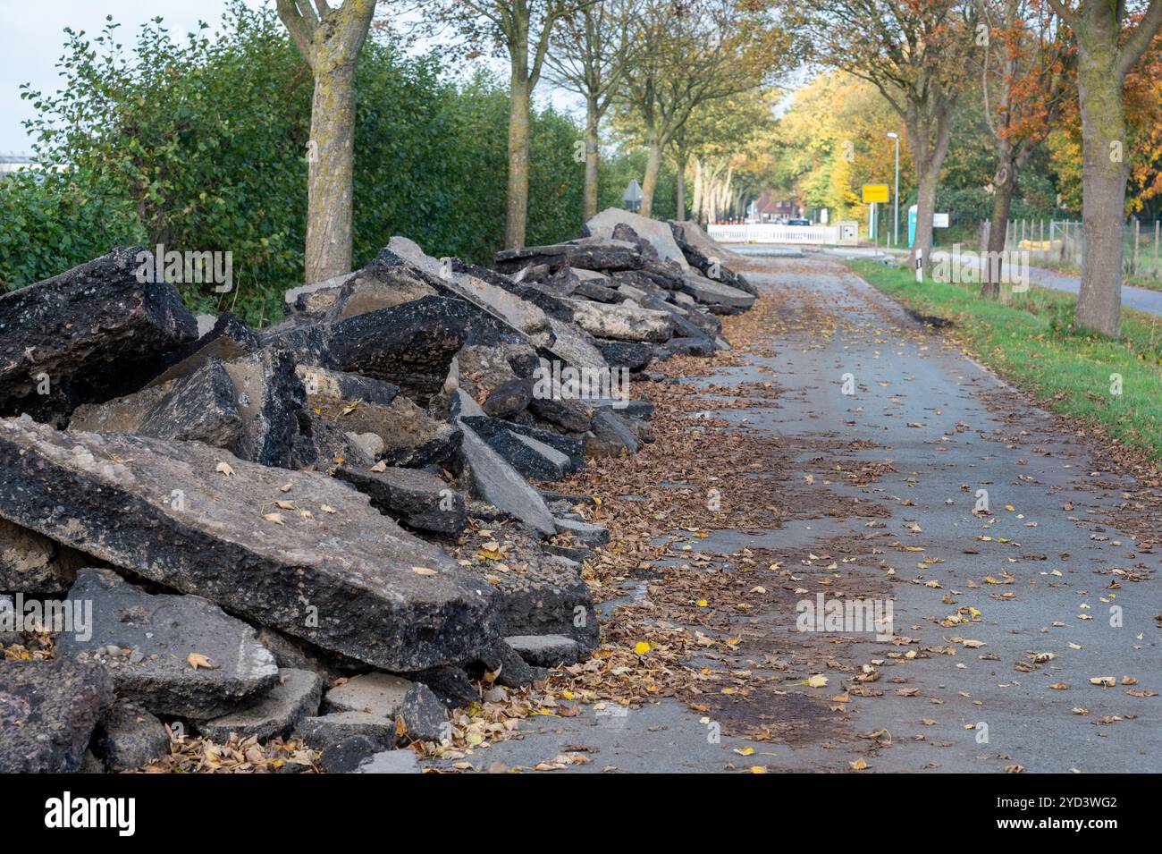 Asphalt, Baggerlader, Gebäude, Gebäude - Tätigkeit, Bau, Baustelle, Steuerung, Landstraße, Gefahr, Fahren, Fahrerbewusstsein, Technik, Stockfoto
