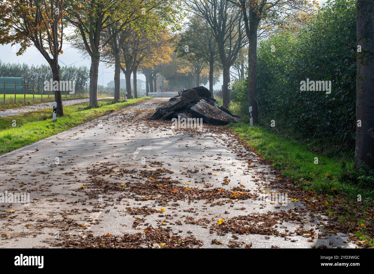 Asphalt, Baggerlader, Gebäude, Gebäude - Tätigkeit, Bau, Baustelle, Steuerung, Landstraße, Gefahr, Fahren, Fahrerbewusstsein, Technik, Stockfoto
