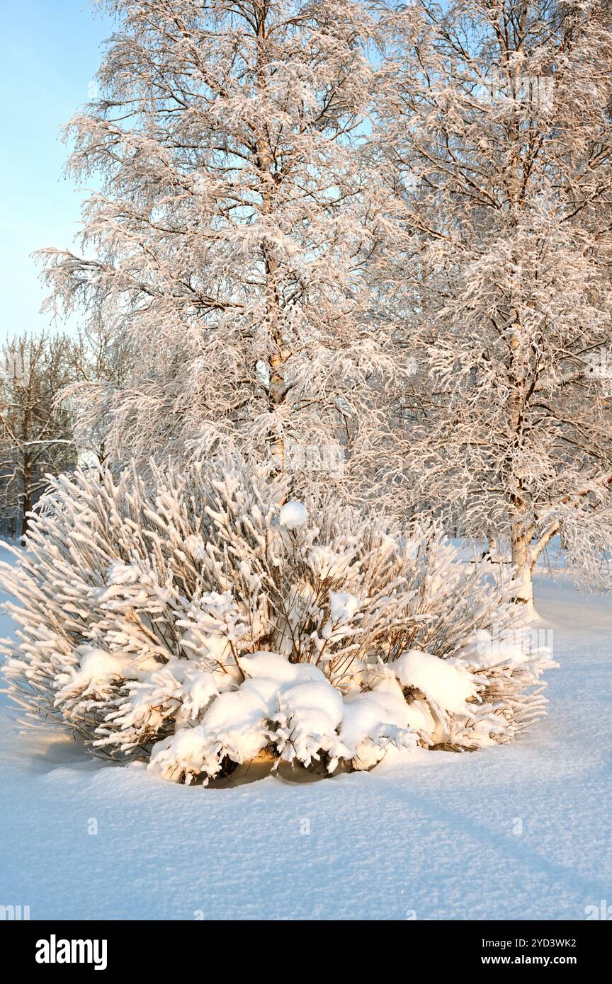 Wunderschöne Winterlandschaft im Park an einem sonnigen Tag Stockfoto