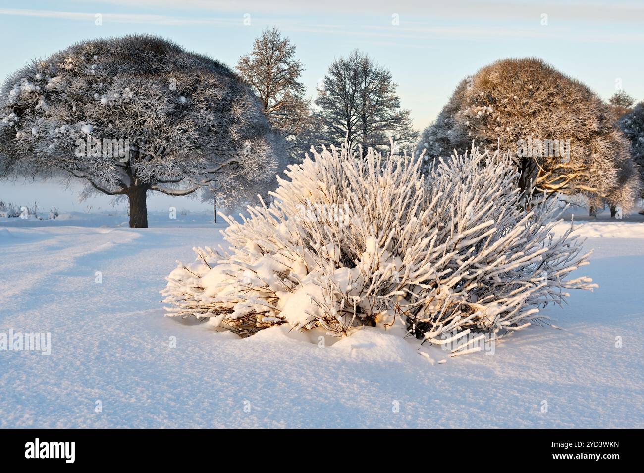 Wunderschöne Winterlandschaft im Park an einem sonnigen Tag Stockfoto