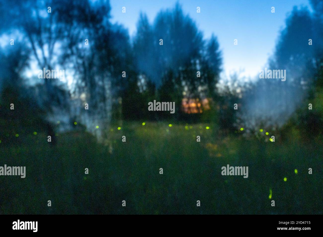 Doppelbelichtung von Sonnenuntergang und Glühen einer Glühwürmchen in der Dämmerung Stockfoto