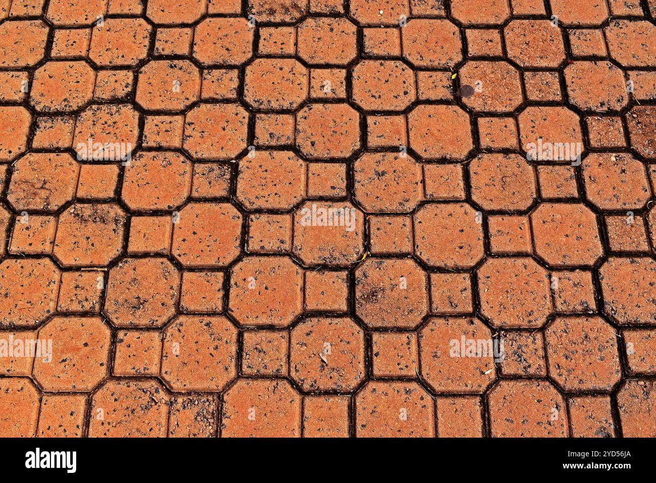 Gemusterter Pflaster mit roten Ziegeln in Ribeirao Preto, Sao Paulo, Brasilien Stockfoto