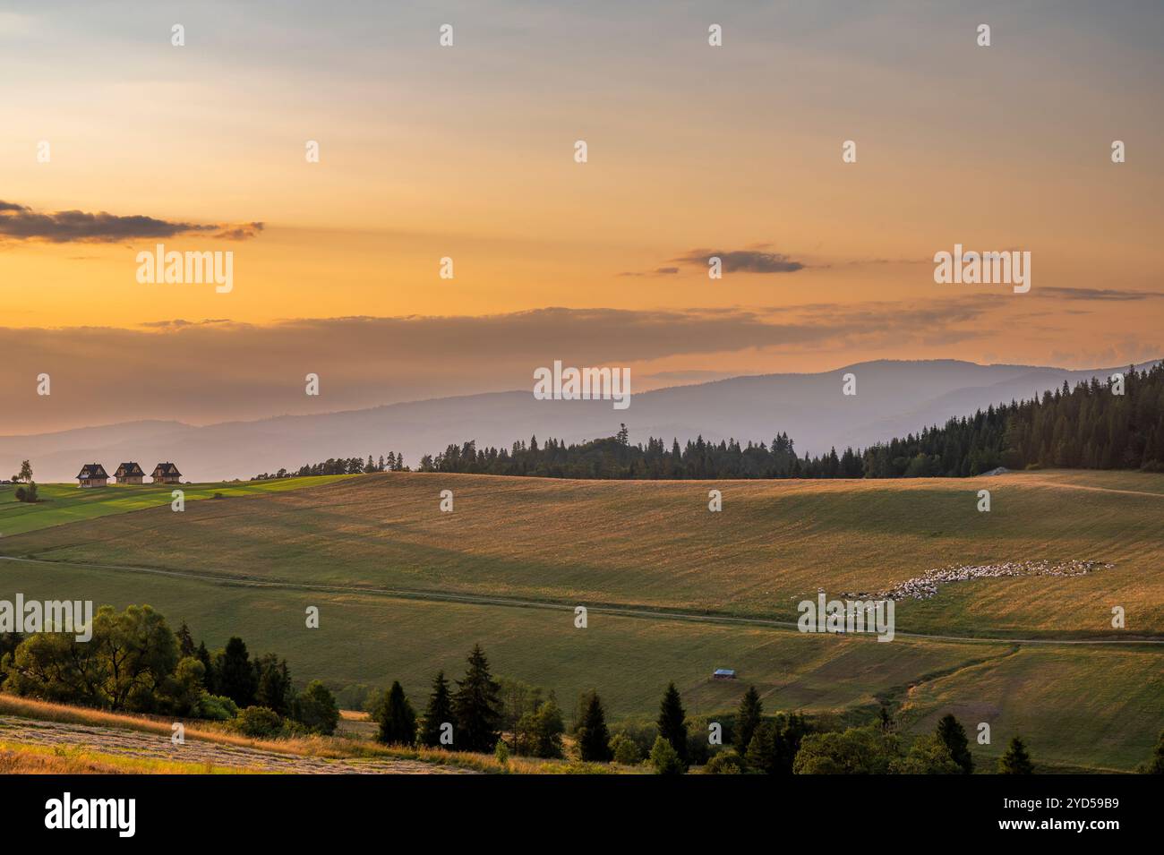 Drei kleine Häuser oben auf dem Hügel Stockfoto