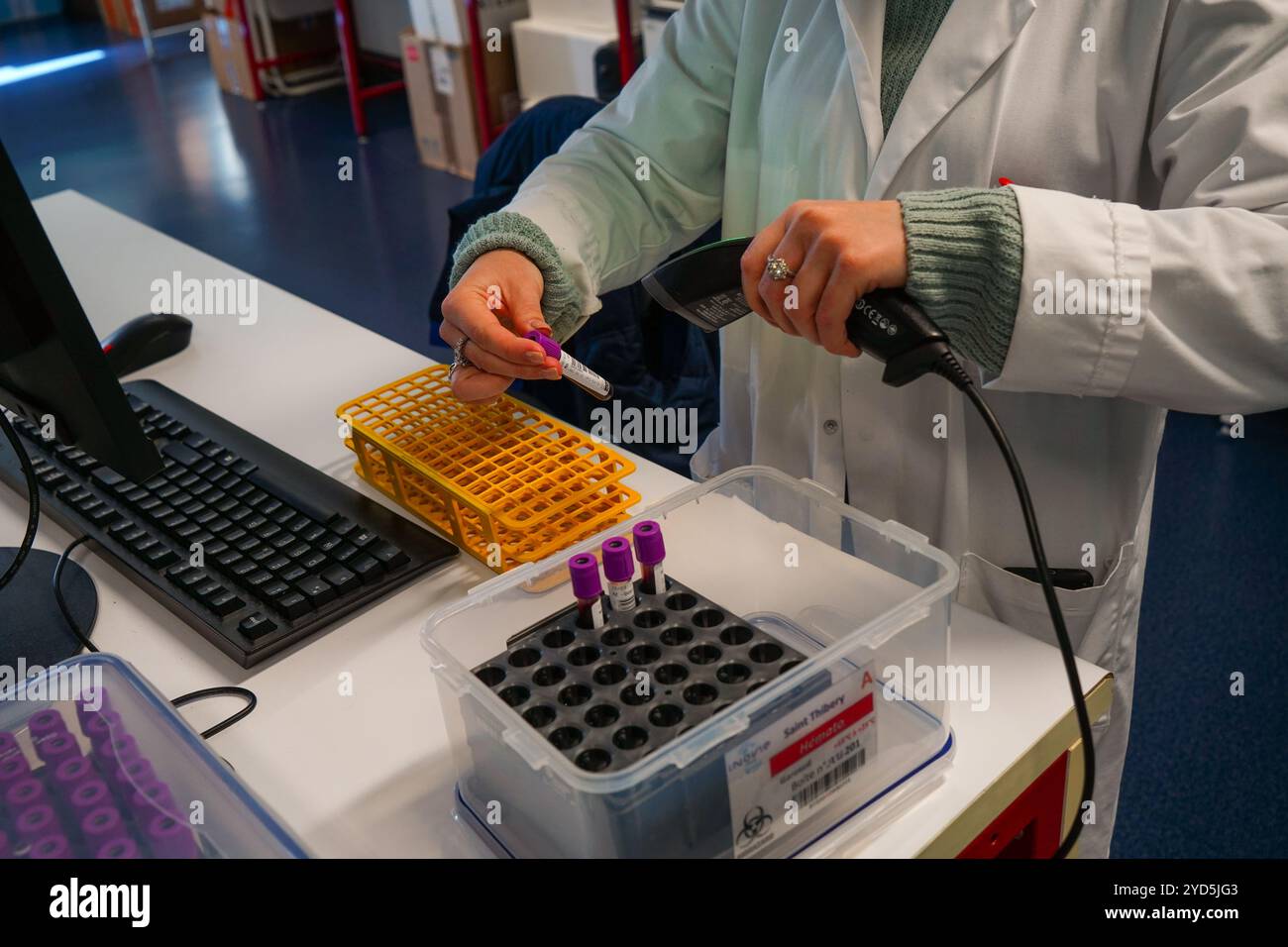 Medizinisches Analyselabor. Biomedizinische Analysetechniker. Scannen von Identifikationsbarcodes von Blutproben vor der Analyse. Stockfoto