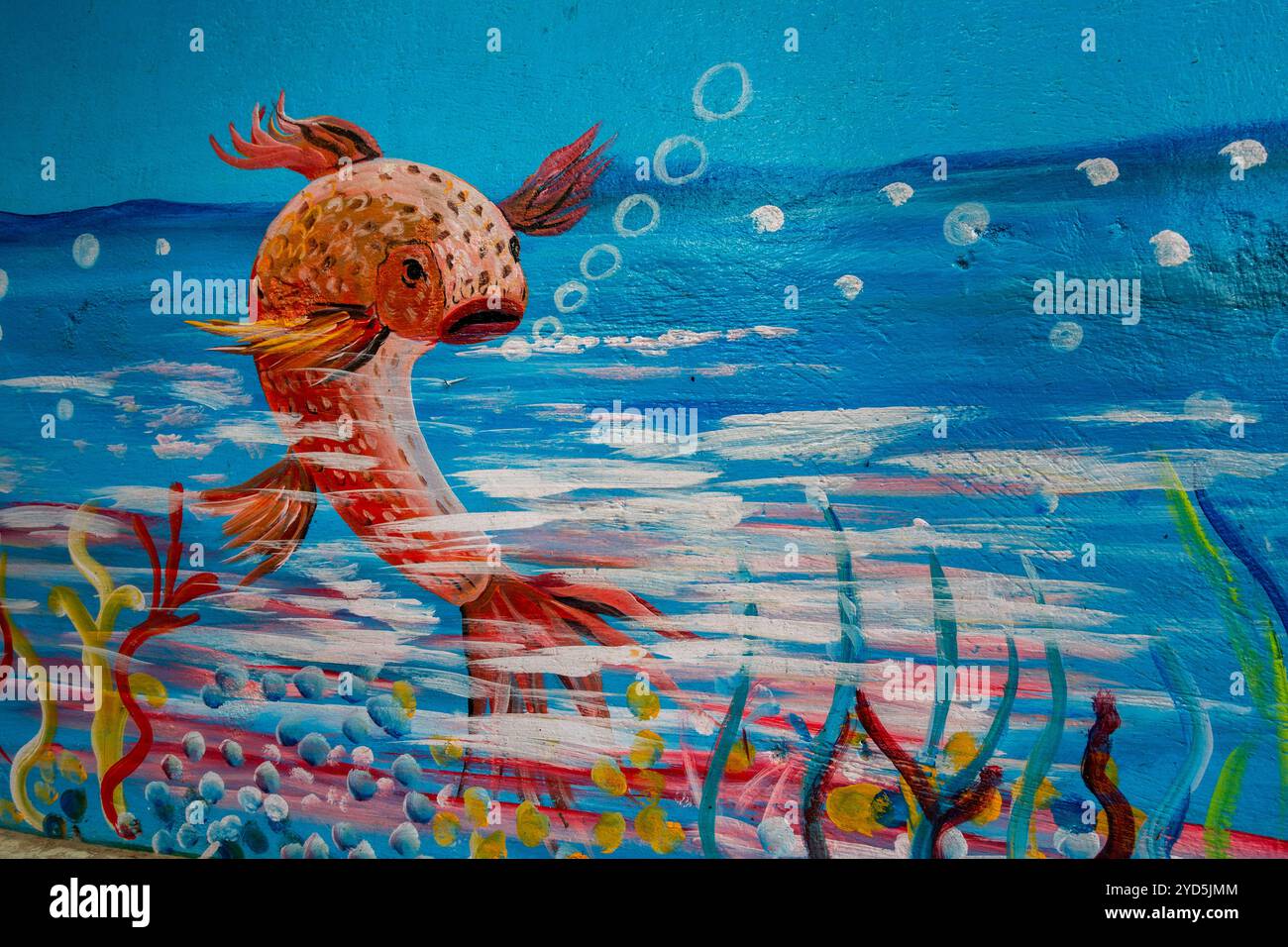 Okt25.2024 Dehradun City Indien. Ein lebendiges Graffiti-Kunstwerk der Unterwasserwelt mit bunten Fischen, gemalt an einer Wand in Dehradun City, Uttarakhand, I Stockfoto