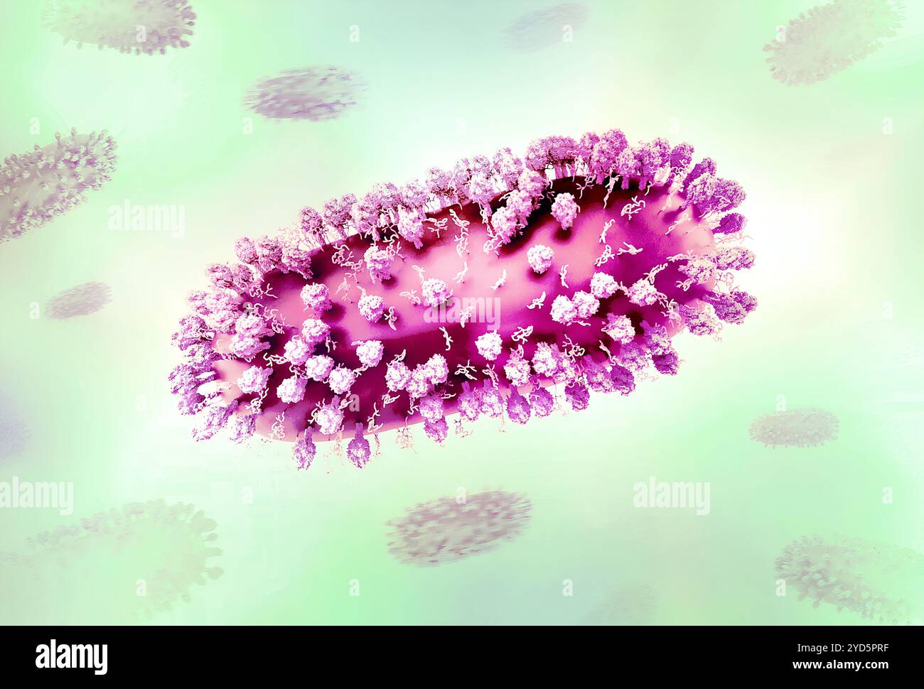 Kreatives Layout mit 3D-Renderings des Respiratory Syncytial Virus (RSV), eines häufigen ansteckenden Virus, das die menschlichen Atemwege infiziert. Stockfoto