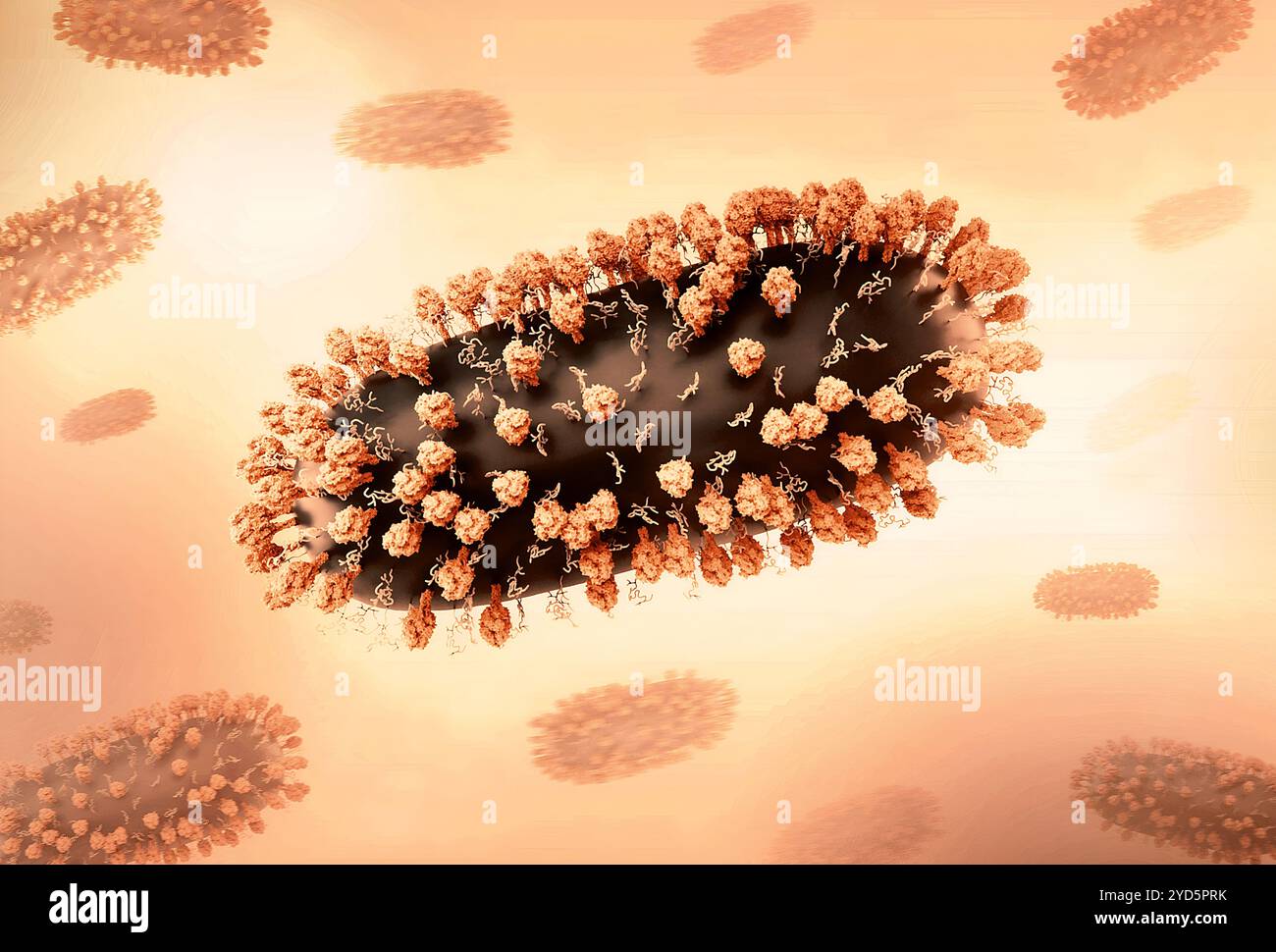 Kreatives Layout mit 3D-Renderings des Respiratory Syncytial Virus (RSV), eines häufigen ansteckenden Virus, das die menschlichen Atemwege infiziert. Stockfoto