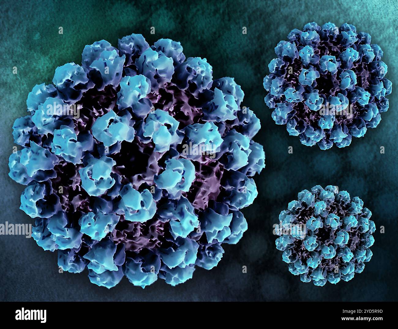 Kreatives Layout mit 3D-Renderings von Norovirus-ähnlichen Partikeln (VLPs), die aus der Elektronenmikroskopie erzeugt wurden. Stockfoto