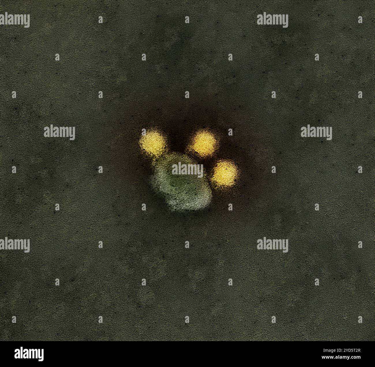 Kolorierte Transmissionselektronenmikrographie negativ gefärbter Zika-Viruspartikel (gelb). Stockfoto