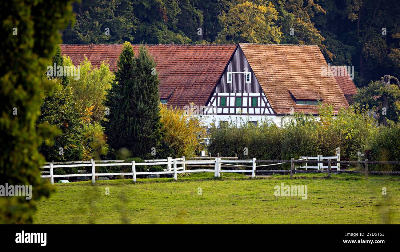 Das Dorf und Gestüt Altefeld in Hessen Stockfoto