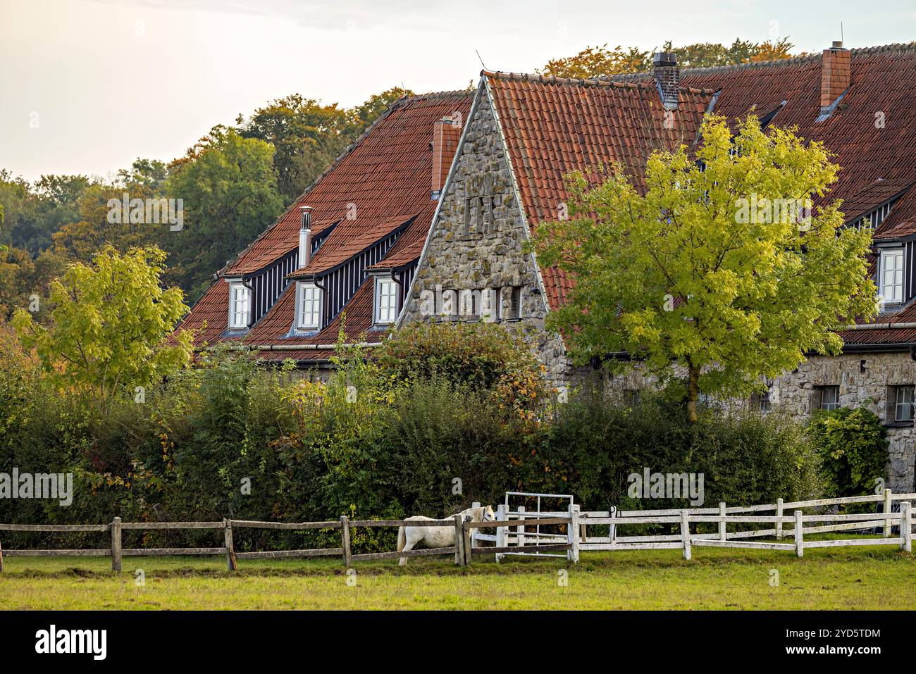 Das Dorf und Gestüt Altefeld in Hessen Stockfoto