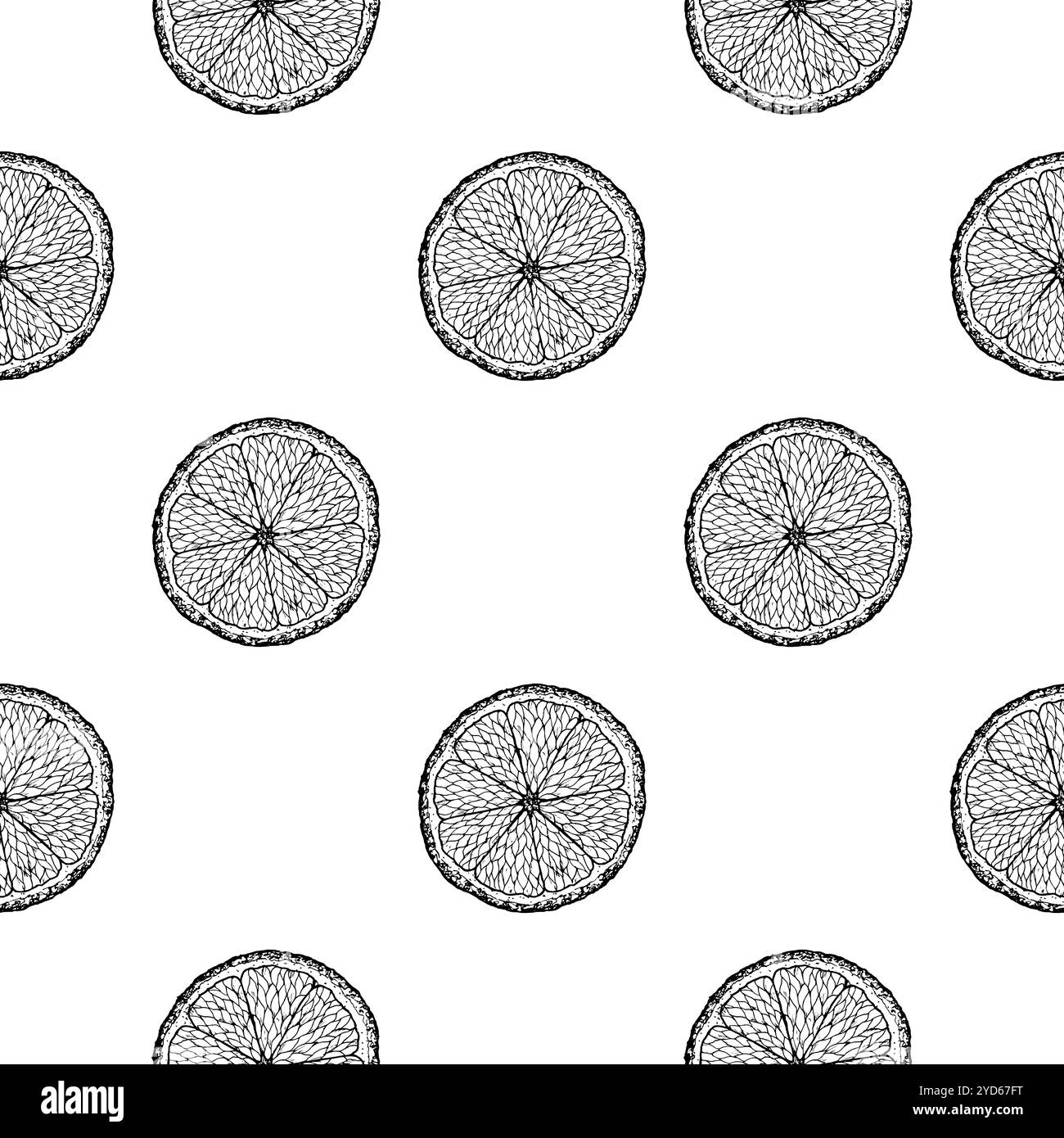 Nahtloses Vektormuster handgezeichneter Zitrusscheiben. Perfekt für Sommermotive, Küchendekor, Lebensmittelverpackungen oder Projekte, die von Obst inspiriert sind, Weihnachten Stock Vektor